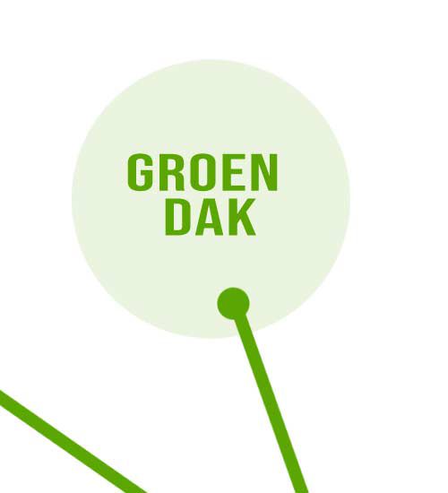 Groen Dak