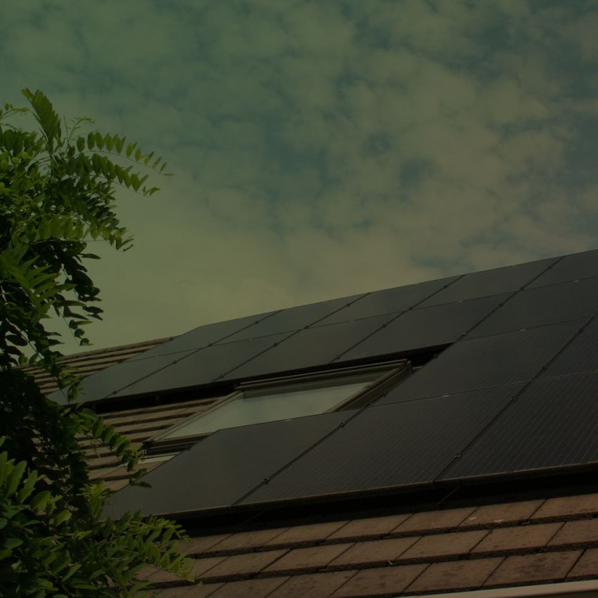 Zonnepanelen advies